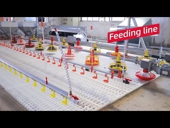 Equipo de granja avícola automático del diseño del gallinero de pollo de la venta caliente