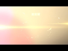 alisadora echada a un lado de 24m/Min Woodworking Thicknesser Machine MB4016F 4