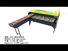 máquina clasificadora de huevos