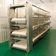 La capa automática de acero del pollo del equipo de granja avícola Q235 enjaula para las ponedoras