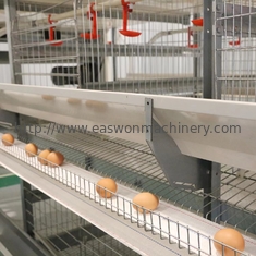 La capa automática de acero del pollo del equipo de granja avícola Q235 enjaula para las ponedoras