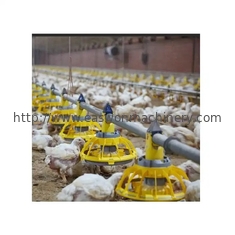 Pollo de alimentación automático de la cría de animales del control ambiental/del equipo de granja avícola