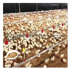 Regulador automático completo de la jaula T607 del pollo tomatero del equipo de granja avícola