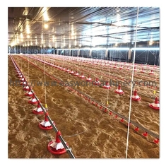 Regulador automático completo de la jaula T607 del pollo tomatero del equipo de granja avícola
