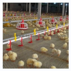 Equipo de granja avícola automático del gallinero de pollo con el sistema de ventilación