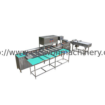 10,000 Eggs/hour Stainless Steel Egg Grading Sorting Machine From China