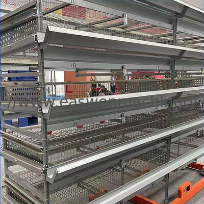Galvanized H Type Broiler Chicken Cage Durable Battery Cage System for Poultry Farm