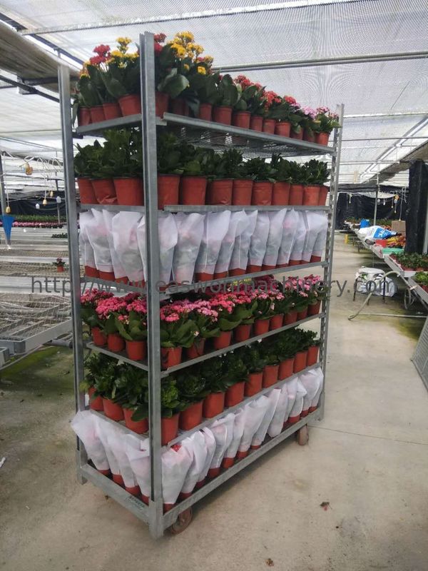 Crezca sembrado estantes daneses de la planta de la casa de la carretilla W565mm de la flor del HDG
