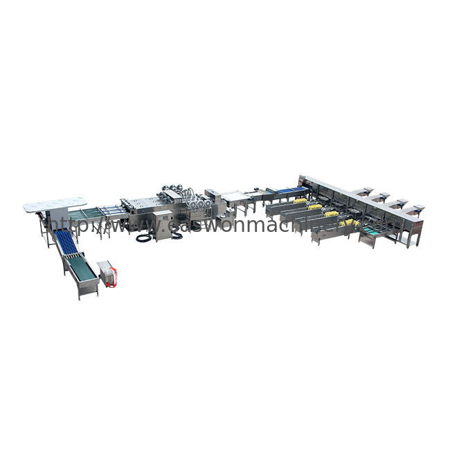 Egg Washing Grading Packing Machine Durable Large-Scale for Farm Processing Equipment